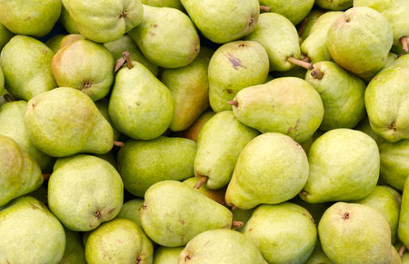 Freshly picked green Bartlett pears on display at the farmers market