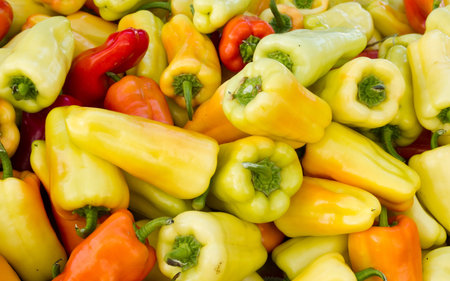 Freshly picked colorful peppers on display at the farmers market
