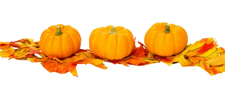 Three small pumpkins on fall leaves isolated on whiteの写真素材