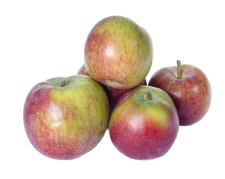 Arrangement of freshly harvested McIntosh apples isolated on whiteの写真素材
