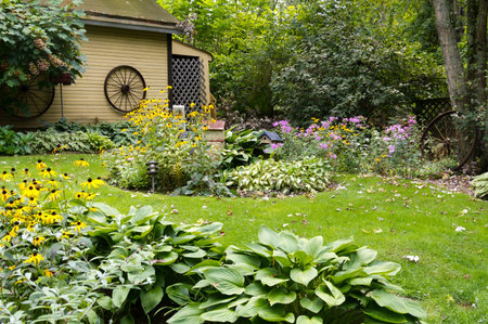 A beautiful green lawn and garde nwith yellow shed in background
