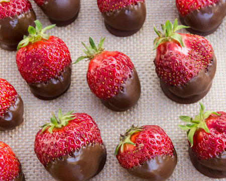 A tray of chocolate covered strawberriesの写真素材
