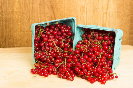 Boxes of red currants on wooden tableの写真素材