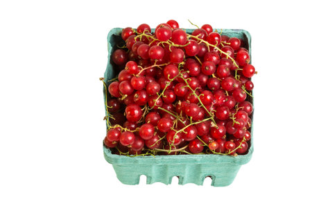 A pint box of fresh red currants isolated on whiteの写真素材