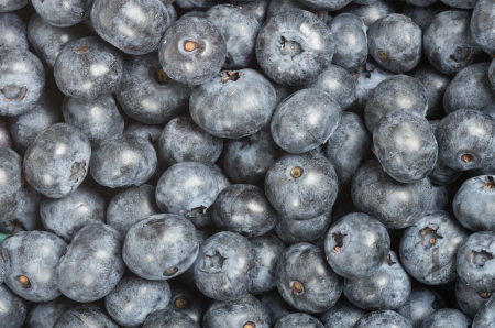 Fresh picked blueberries for backgroundの写真素材