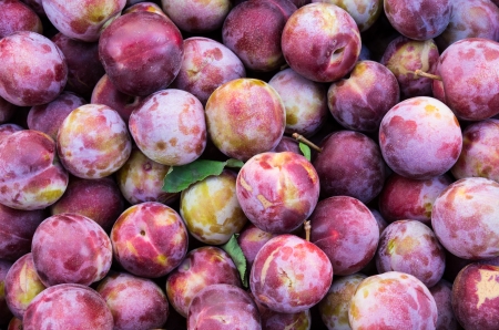 Fresh picked plums on display at the farmers marketの写真素材