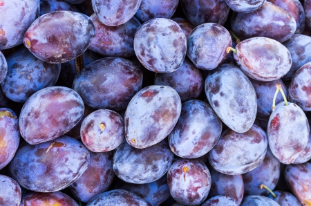 Display of purple prune plums at the farmers marketの写真素材
