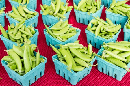 Boxes of freshly harvested peas on display at the farmers marketの写真素材