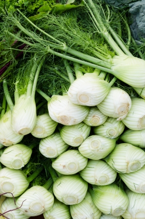 Freshly harvested fennel bulbs on display at the farmers marketの写真素材