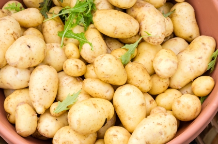 Freshly harvested potatoes on display at the marketの写真素材