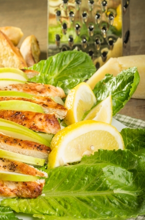 Apple cranberry chicken salad with parmesan dressingの写真素材