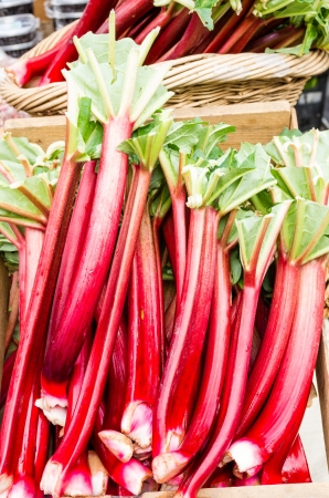 Red Rhubarb stalks on display at the farmers marketの写真素材