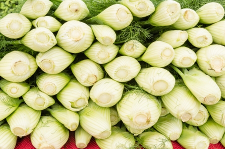 Freshly harvested fennel bulbs on display at the farmers marketの写真素材