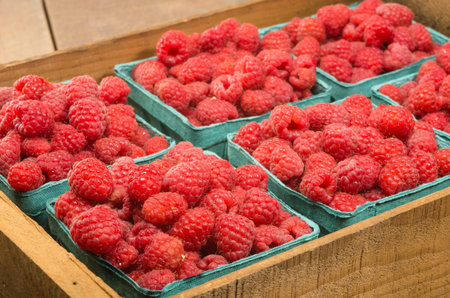 Freshly picked red raspberries on display at the farmers market