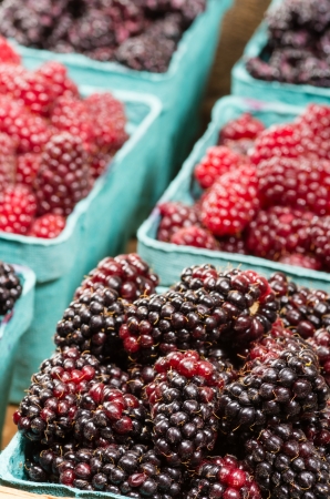 Freshly picked Marionberries on display at the farmers marketの写真素材