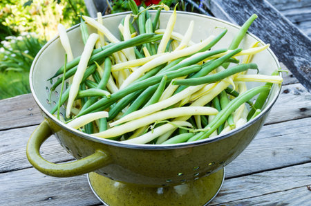 A bowl of of freshly picked green and yellow beans