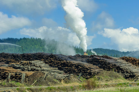 Lumber mill lot with kiln and logsの写真素材