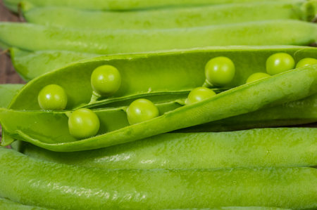 Green fresh picked pea pods closeup macro