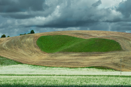 Wheat fields harvested and cutの写真素材