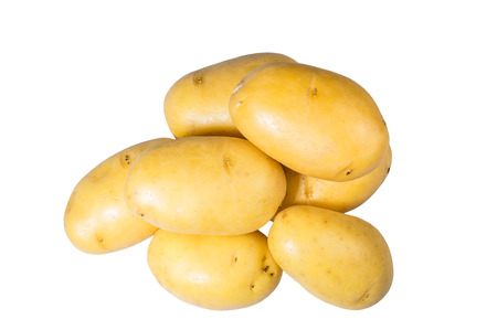 White potatoes fresh picked isolated on whiteの写真素材