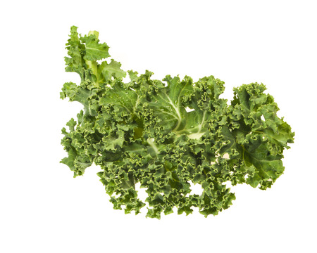 Fresh green kale leaves isolated on whiteの写真素材