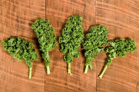 Group of fresh curly kale leaves displayedの写真素材