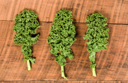 Group of fresh curly kale leaves displayedの写真素材