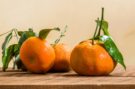 Ripe tangelos with green leaves on a wooden tableの写真素材