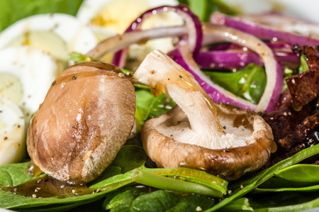 Egg and spinach salad with mushrooms and onionsの写真素材