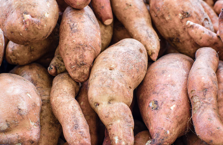 Fresh harvested local sweet potatoes at the farmers marketの写真素材