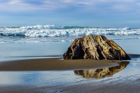 Sandy beach with driftwood log on the Pacific Oceanの写真素材