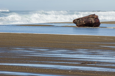 Sandy beach with driftwood log on the Pacific Oceanの写真素材