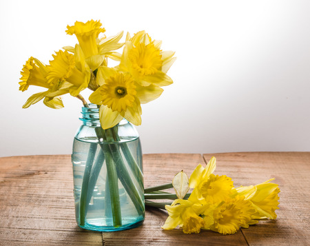 Arrangement of yellow dafodills in blue jarの写真素材