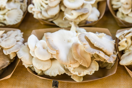 Freshly harvested mushrooms at the farmers marketの写真素材