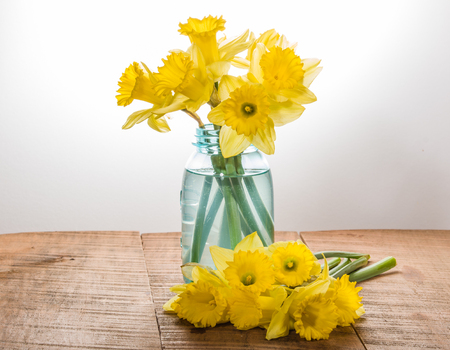 Arrangement of yellow dafodills in blue jarの写真素材