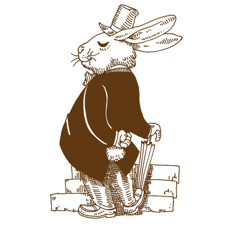 Gentle rabbitのイラスト素材