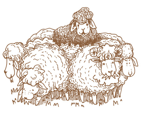 Black sheepのイラスト素材