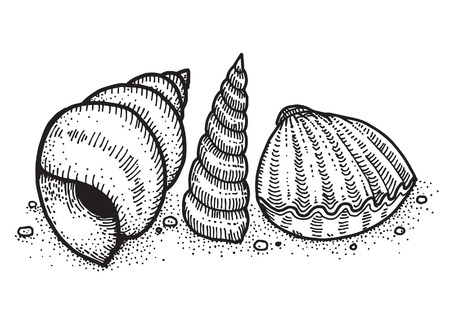 Shellfishのイラスト素材