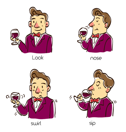 A man taste wine in four steps method, Cartoon vector illustration.のイラスト素材
