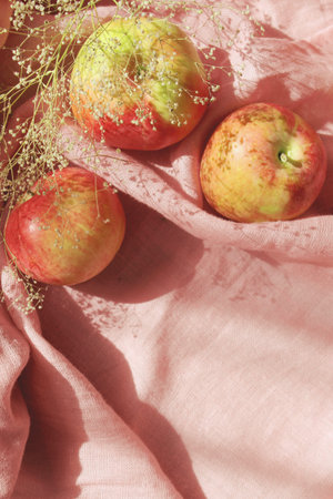 Ripe apples on pink fabric background with copy space. Still lifeの写真素材