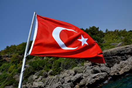 turkeyの写真素材