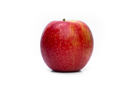 Red apple isolated on white background. Healthy food concept with copy space.の写真素材