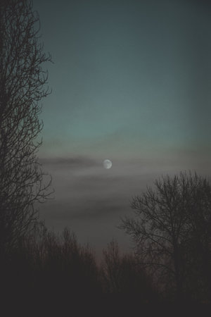 Night sky with moon and silhouette of trees. Vintage retro style.の写真素材