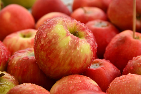 Ripe red apples with drops of water on a wooden background.の写真素材
