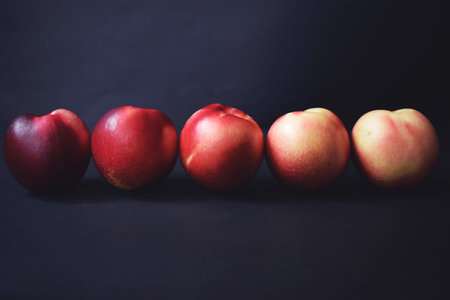 Ripe nectarines on a dark background. Toned.の写真素材