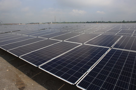 Large-Scale Solar Farm