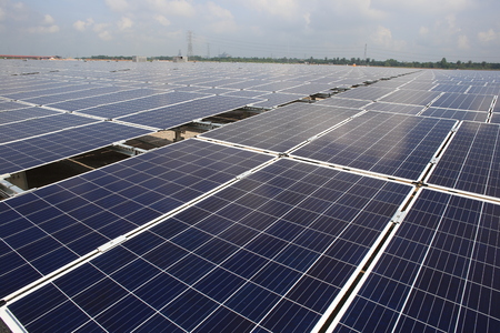 Large-Scale Solar Farmの写真素材