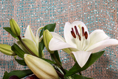 white lily flower garden. White Asiatic lily flower in the garden. Beautiful nature lily flower blossom closeup petal plant. Green floral bouquet.の写真素材
