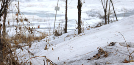 snow sceneryの写真素材