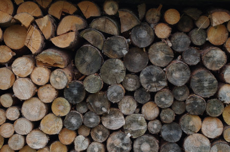 pieces of round firewoodの写真素材